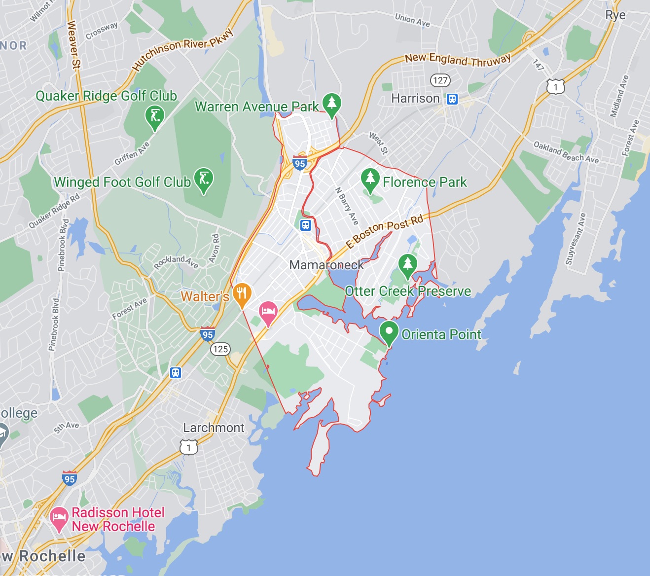 near, Mamaroneck, NY, New York, long, Island, longisland, pet, store, petstore